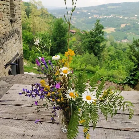 Country Old Stone House Immerse In Nature *