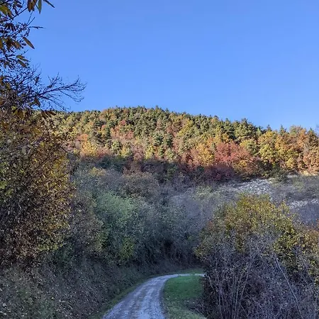 Country Old Stone House Immerse In Nature Homestay Lequio Berria